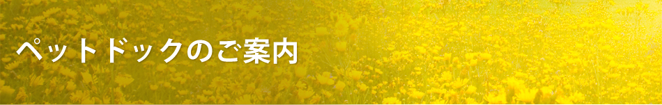 ペットドックのご案内