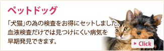 ペットドッグ